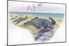 Leatherback Sea Turtle Dermochelys Coriacea-null-Mounted Premium Giclee Print