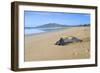 Leathery Turtle on Beach-null-Framed Photographic Print