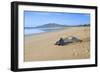 Leathery Turtle on Beach-null-Framed Photographic Print