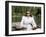 Leave Her To Heaven, Gene Tierney, 1945-null-Framed Photo