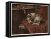 Leave Me Alone-Philip Eustace Stretton-Framed Stretched Canvas