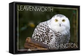 Leavenworth, Washington - Snowy Owl-Lantern Press-Framed Stretched Canvas