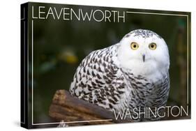 Leavenworth, Washington - Snowy Owl-Lantern Press-Stretched Canvas