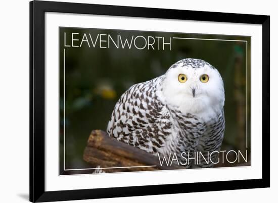 Leavenworth, Washington - Snowy Owl-Lantern Press-Framed Premium Giclee Print