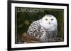 Leavenworth, Washington - Snowy Owl-Lantern Press-Framed Premium Giclee Print