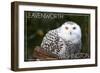 Leavenworth, Washington - Snowy Owl-Lantern Press-Framed Art Print