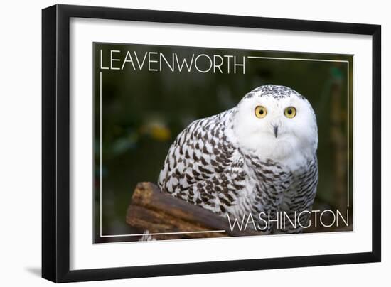 Leavenworth, Washington - Snowy Owl-Lantern Press-Framed Art Print