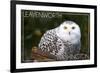 Leavenworth, Washington - Snowy Owl-Lantern Press-Framed Art Print