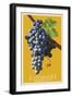Leavenworth, Washington - Wine Grapes-Lantern Press-Framed Art Print