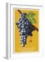 Leavenworth, Washington - Wine Grapes-Lantern Press-Framed Art Print