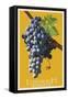 Leavenworth, Washington - Wine Grapes-Lantern Press-Framed Stretched Canvas