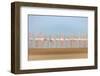 Leavers-Faisal ALnomas-Framed Photographic Print