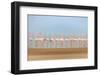 Leavers-Faisal ALnomas-Framed Photographic Print