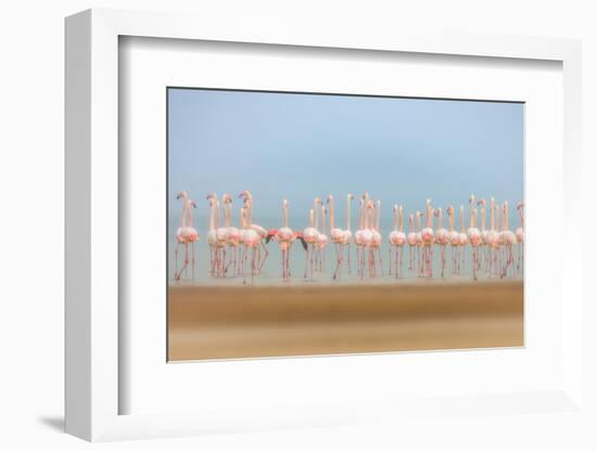 Leavers-Faisal ALnomas-Framed Photographic Print