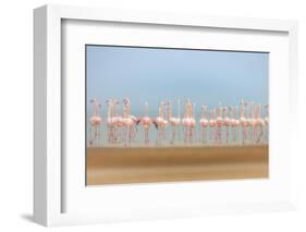 Leavers-Faisal ALnomas-Framed Photographic Print