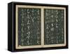 Leaves 1 and 2, from Wang Xizhi Book One, 'Calligraphy of Ancient Masters of Various Periods',…-Ming Dynasty Chinese School-Framed Stretched Canvas