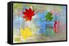 Leaves and colors-Ata Alishahi-Framed Stretched Canvas