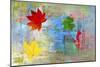 Leaves and colors-Ata Alishahi-Mounted Giclee Print