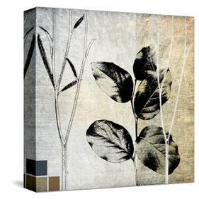 Leaves and Stems on Texture I-Catherine Kohnke-Stretched Canvas