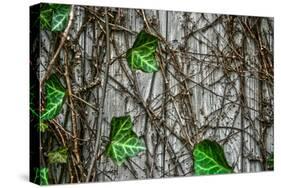 Leaves and Vines-null-Stretched Canvas