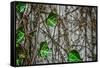 Leaves and Vines-null-Framed Stretched Canvas