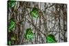 Leaves and Vines-null-Stretched Canvas