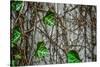 Leaves and Vines-null-Stretched Canvas