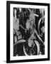 Leaves and Wood, c. 1950-Brett Weston-Framed Photographic Print