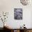 Leaves Encased in Ice-Adam Jones-Premium Photographic Print displayed on a wall