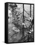 Leaves Floating on the Water-Allan Grant-Framed Stretched Canvas
