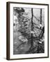 Leaves Floating on the Water-Allan Grant-Framed Premium Photographic Print