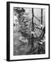 Leaves Floating on the Water-Allan Grant-Framed Premium Photographic Print