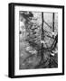 Leaves Floating on the Water-Allan Grant-Framed Photographic Print