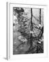 Leaves Floating on the Water-Allan Grant-Framed Photographic Print