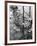 Leaves Floating on the Water-Allan Grant-Framed Photographic Print