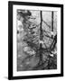 Leaves Floating on the Water-Allan Grant-Framed Photographic Print