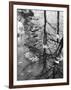 Leaves Floating on the Water-Allan Grant-Framed Photographic Print