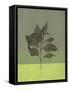 Leaves Green II-Judi Bagnato-Framed Stretched Canvas