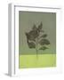 Leaves Green II-Judi Bagnato-Framed Art Print