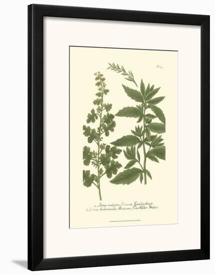 Leaves III-Johann Wilhelm Weinmann-Framed Art Print