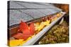Leaves in a Rain Gutter-soupstock-Stretched Canvas