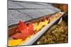 Leaves in a Rain Gutter-soupstock-Mounted Photographic Print