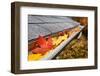 Leaves in a Rain Gutter-soupstock-Framed Photographic Print