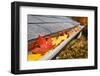 Leaves in a Rain Gutter-soupstock-Framed Photographic Print