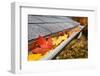 Leaves in a Rain Gutter-soupstock-Framed Photographic Print