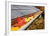 Leaves in a Rain Gutter-soupstock-Framed Photographic Print