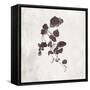 Leaves In Autumn 2-Adebowale-Framed Stretched Canvas