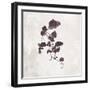 Leaves In Autumn 2-Adebowale-Framed Art Print