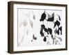 Leaves in Black and White-Janel Bragg-Framed Art Print