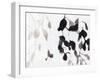 Leaves in Black and White-Janel Bragg-Framed Art Print